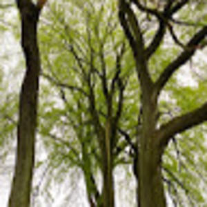 Meet your Posher, Edie